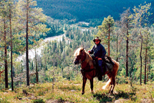 Finland-Finland-Sami Wilderness Trail